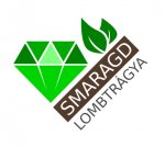 Smaragd Extra Magnéziumos logó